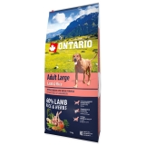 Ontario Dog Adult Large Lamb & Rice -12